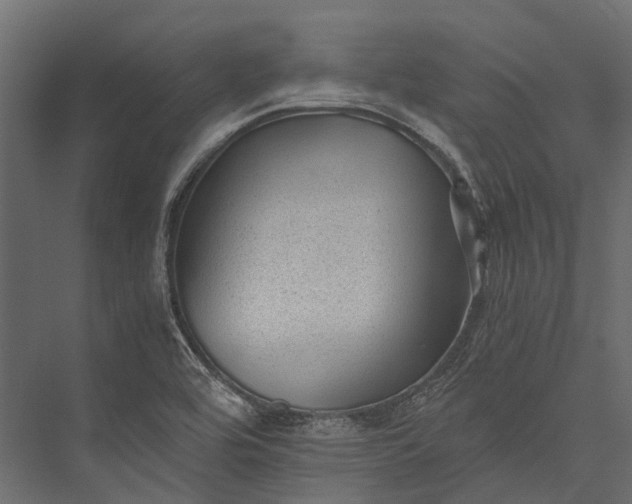 X0000076031464200610061405