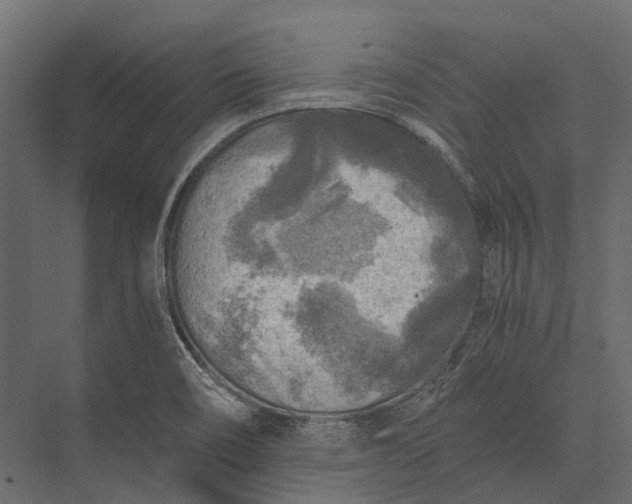 X0000076031466200610061405