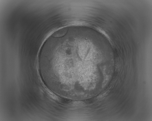 X0000076031467200610061405