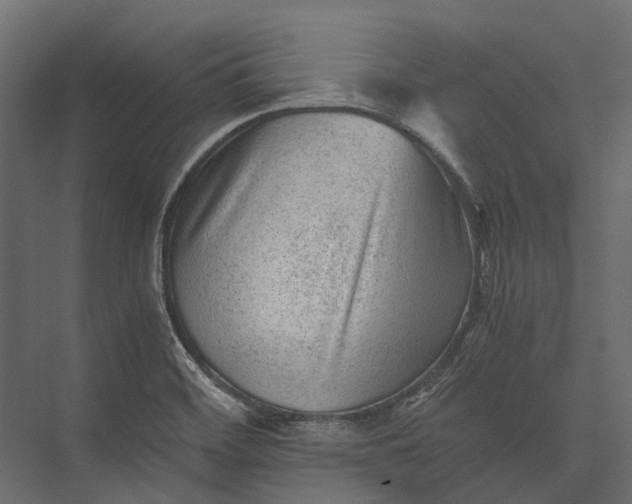 X0000076031468200610061405