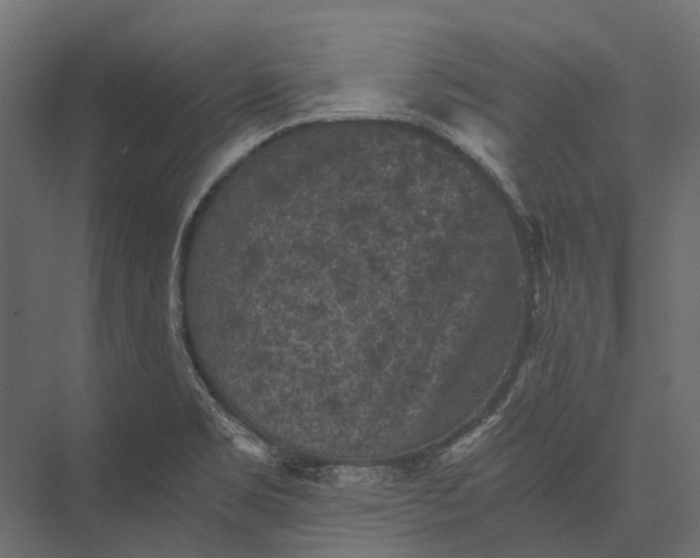 X0000076031469200610061405