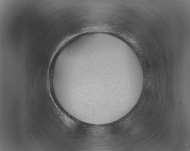 X0000076031470200610061405