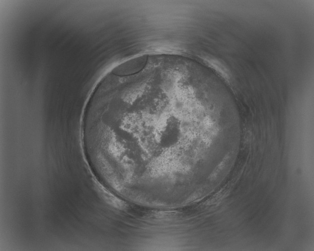 X0000076031471200610061405