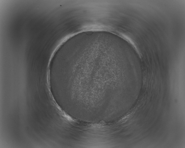 X0000076031472200610061405