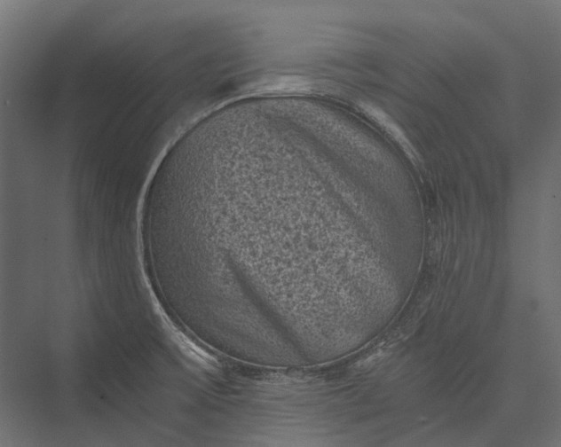 X0000076031475200610061405