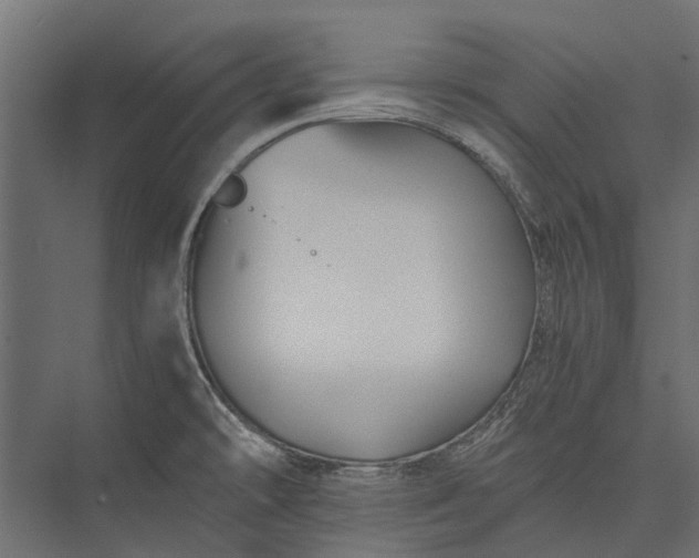 X0000076031478200610061405