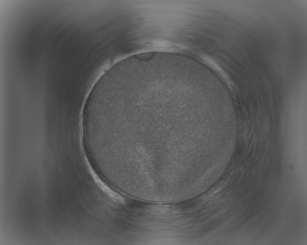 X0000076031479200610061405