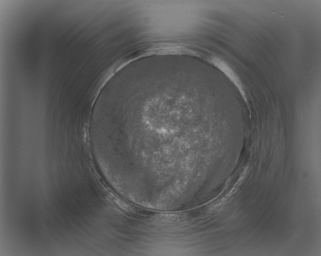 X0000076031481200610061405