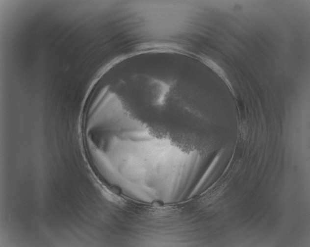 X0000076031482200610061405