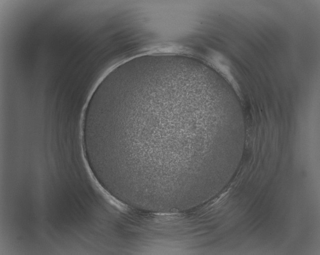 X0000076031483200610061405