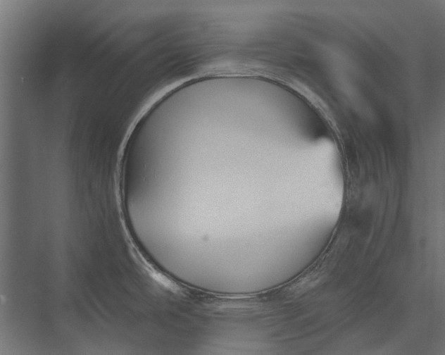 X0000076031486200610061405