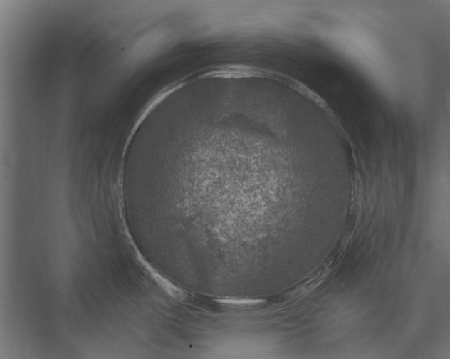 X0000076031487200610061405