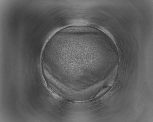 X0000076031488200610061405