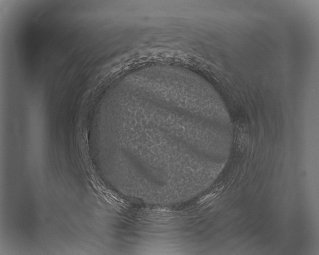 X0000076031489200610061404