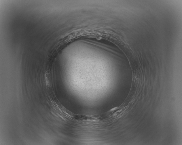 X0000076031490200610061404