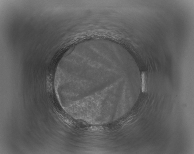 X0000076031491200610061404