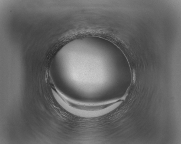 X0000076031492200610061404