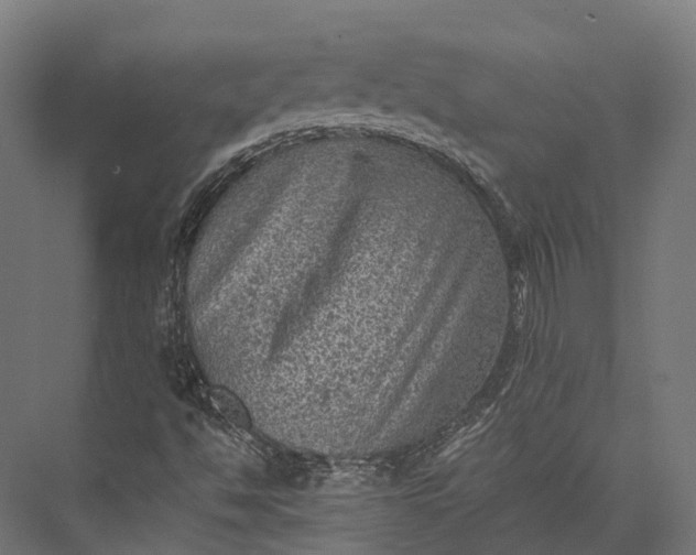 X0000076031494200610061404