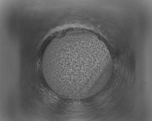 X0000076031495200610061404