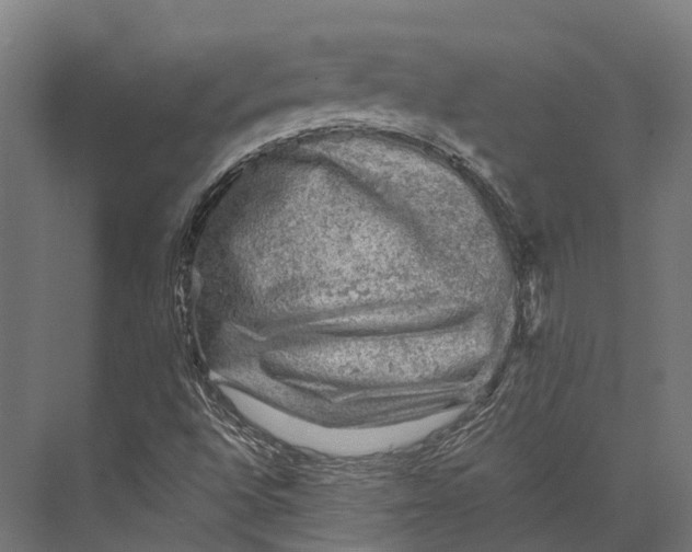 X0000076031496200610061404