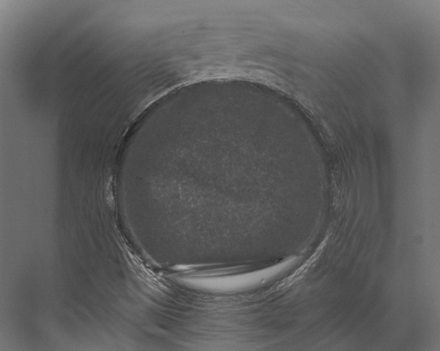 X0000076031497200610061404