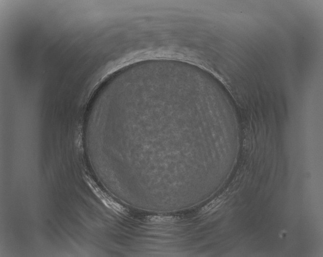 X0000076031499200610061404