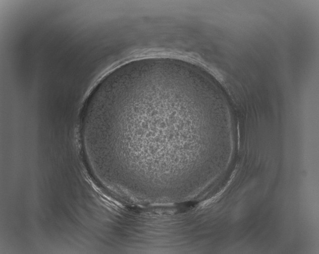 X0000076031501200610061404