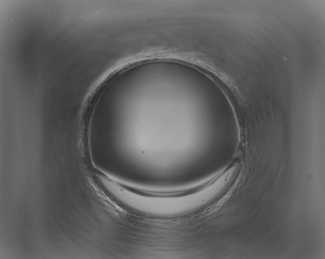 X0000076031502200610061404