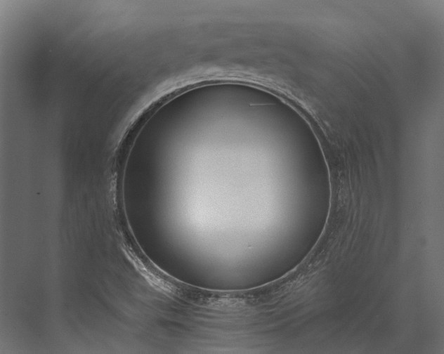 X0000076031503200610061404