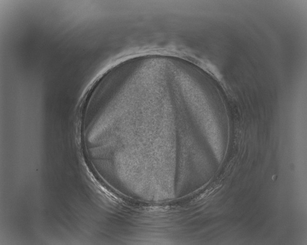 X0000076031504200610061404