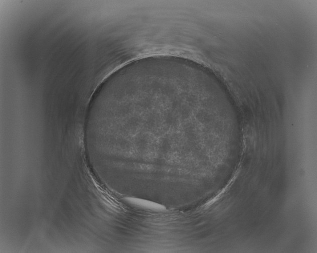 X0000076031505200610061404