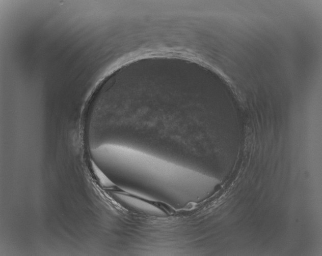 X0000076031506200610061404