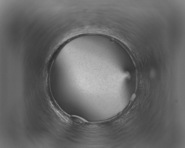 X0000076031507200610061404