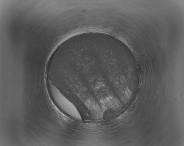 X0000076031508200610061404