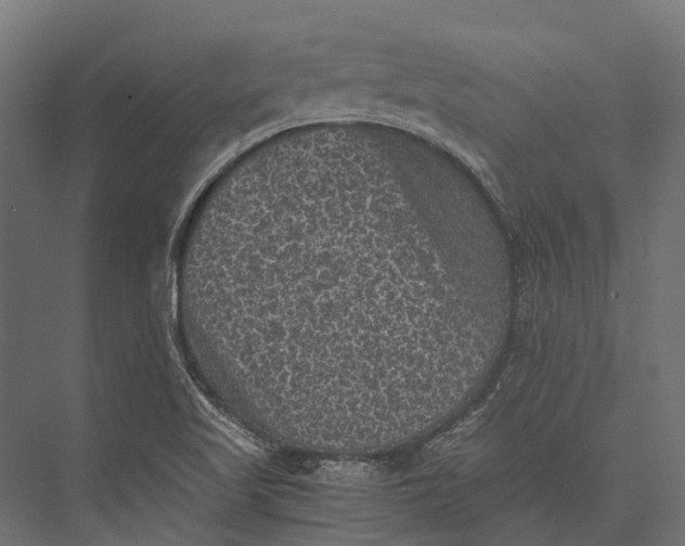 X0000076031509200610061404