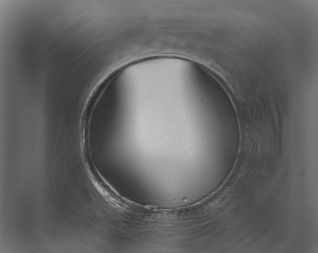 X0000076031511200610061404