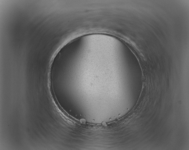 X0000076031512200610061404