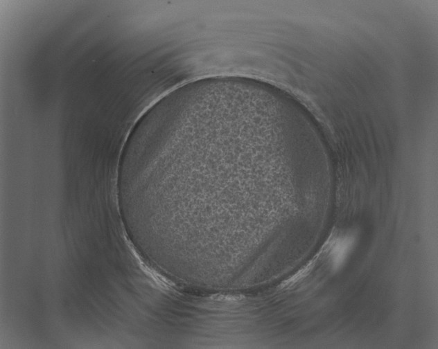 X0000076031513200610061404