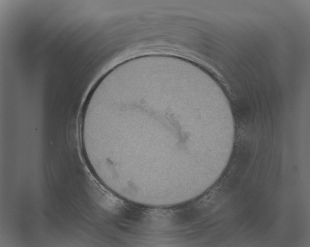 X0000076031514200610061404