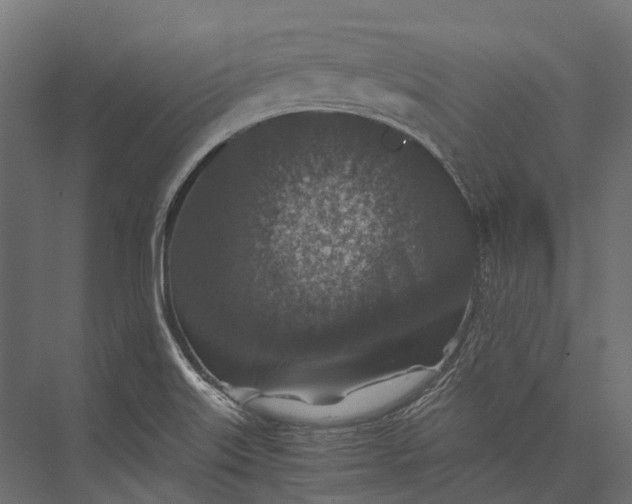 X0000076031515200610061404