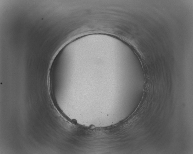 X0000076031516200610061405