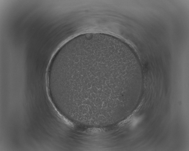 X0000076031517200610061405