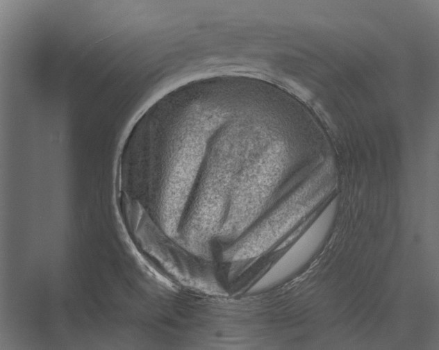 X0000076031520200610061405