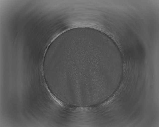 X0000076031521200610061405