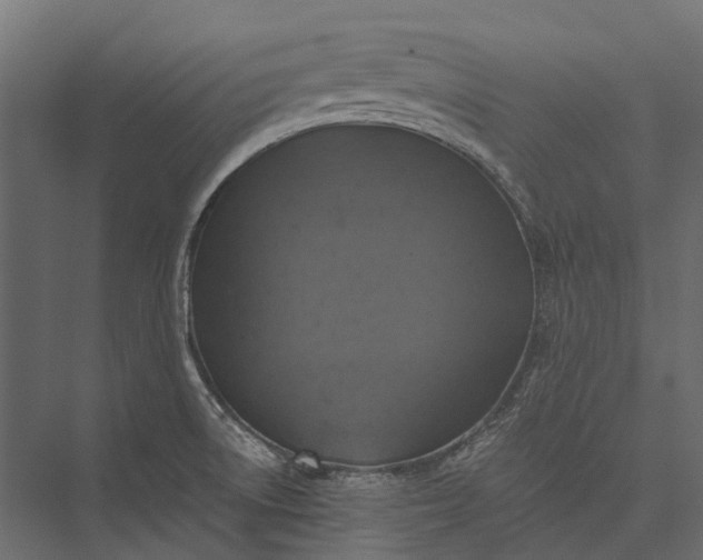 X0000076031522200610061405