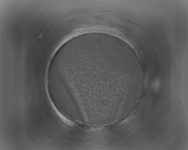 X0000076031523200610061405