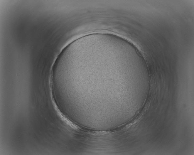 X0000076031526200610061405