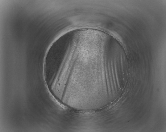 X0000076031528200610061405