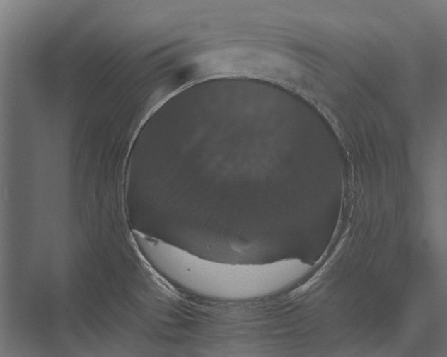 X0000076031529200610061405