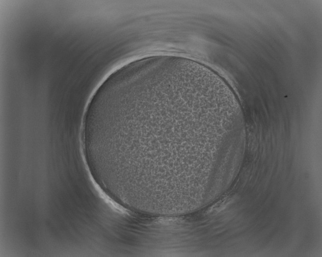 X0000076031531200610061405